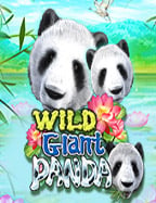 โหลด เกม kiss918 เพื่อสนุกกับการทดลองเล่น